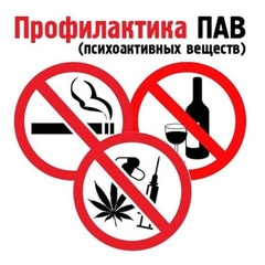 профилактика употребления пав