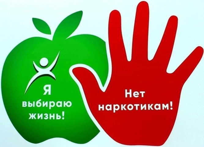 Профилактика наркотиков