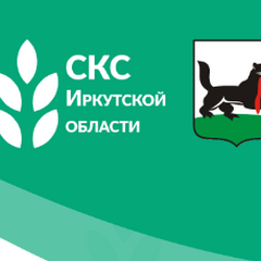 Сессия актива студенческих объединений общежитий