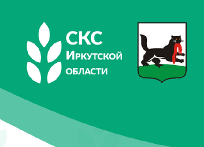 Сессия актива студенческих объединений общежитий